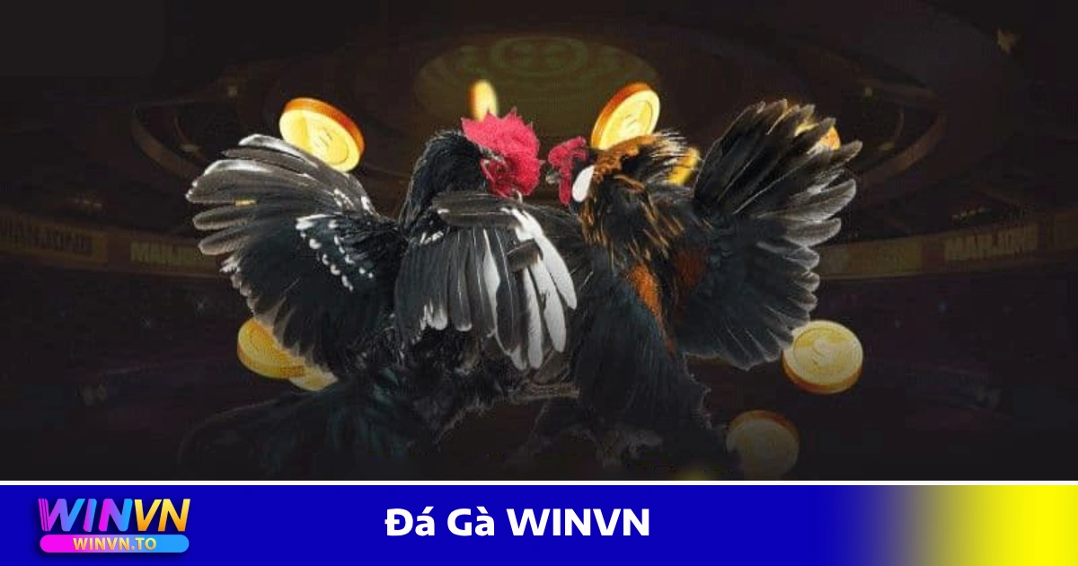 Đá Gà WinVN – Trực Tiếp SV388, Thomo, Cược Nhanh – Ăn Tiền Thật 1 Các Hình Thức Đá Gà WINVN Được Ưa Chuộng Nhiều Nhất