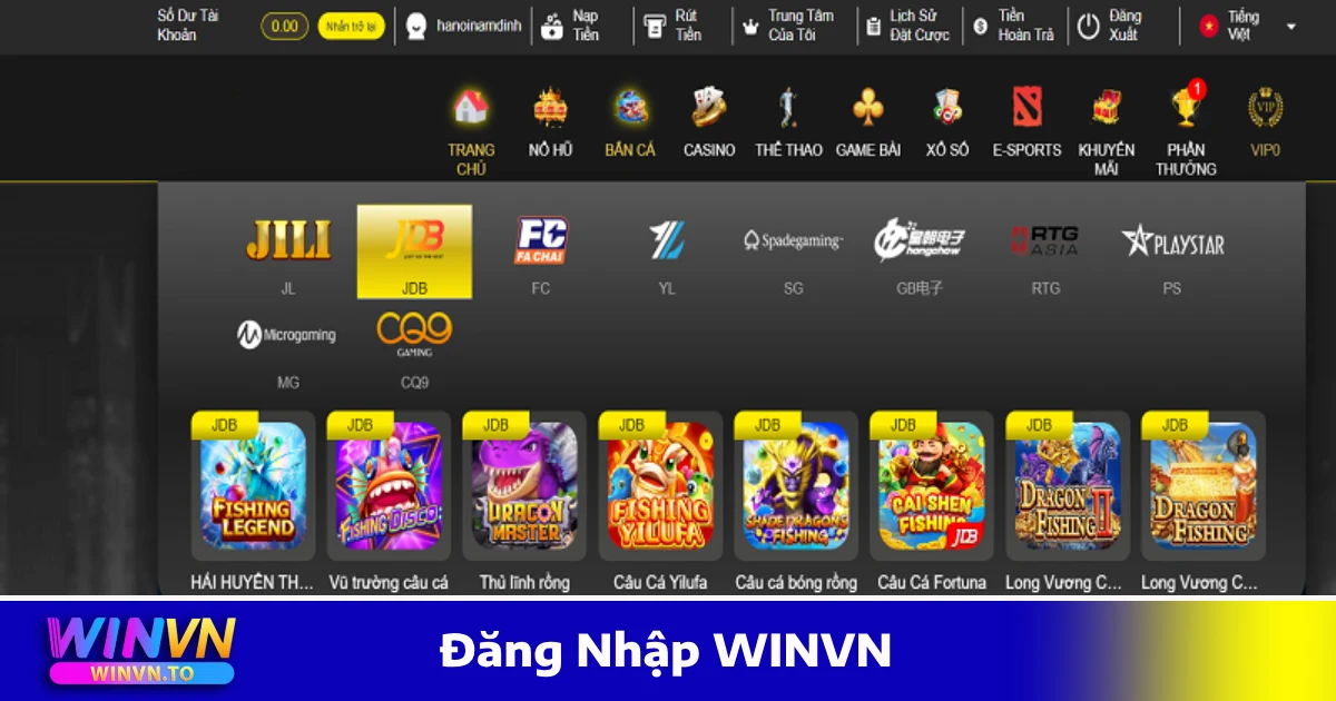 Khắc Phục Lỗi Khi Không Đăng Nhập WINVN Thành Công