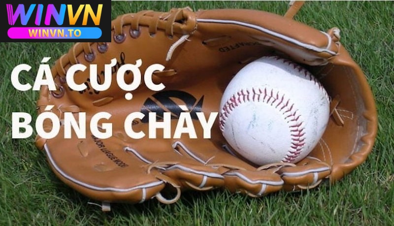 Cá cược bóng chày là gì?Tham Gia Tại Winvn 2025 2 Các loại kèo trong cá cược bóng chày