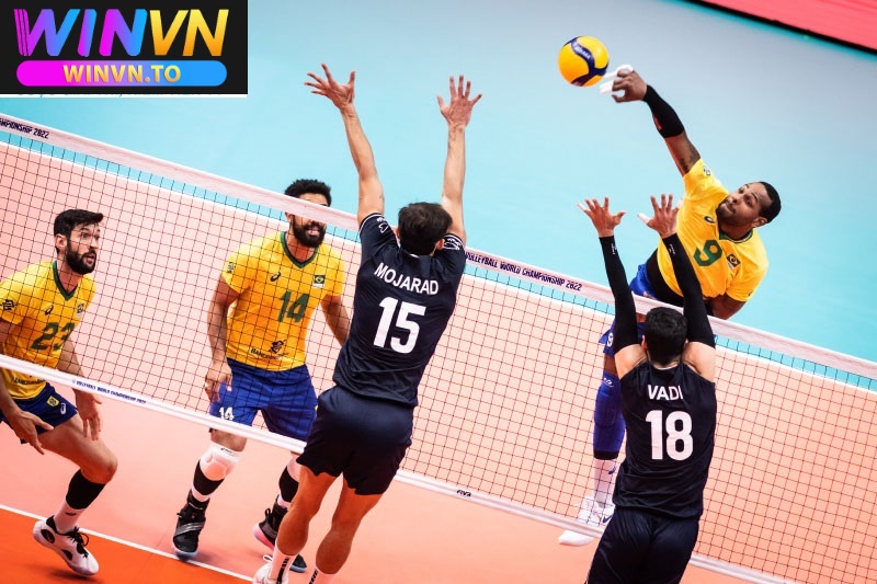 Cá cược bóng chuyền là gì?