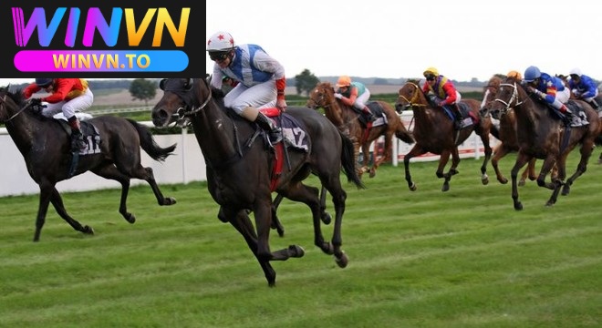 Cá Cược Đua Ngựa – Cách Đặt Cược Đẳng Cấp Winvn 2025 2 Cách cá cược đua ngựa hiệu quả
