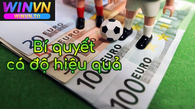 Cá độ bóng đá là gì ?