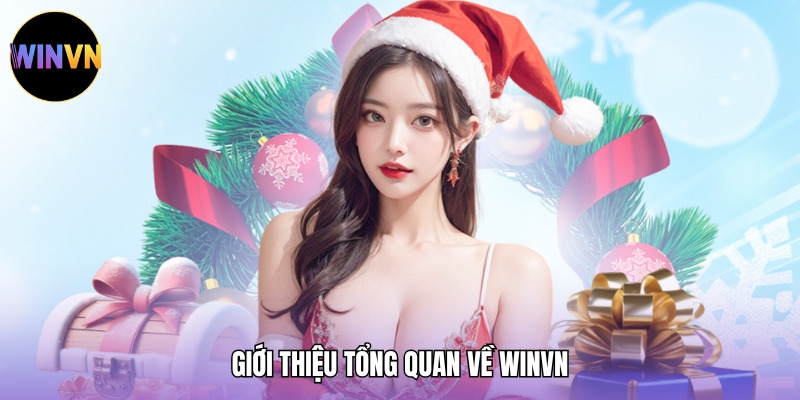 Giới thiệu tổng quan về WINVN